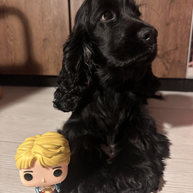 Figura POP RM BTS