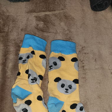 Pandasocken