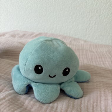 Mood Octopus