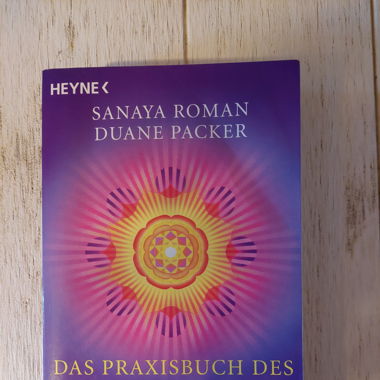 Das Praxisbuch des Channelns Sanaya Roman