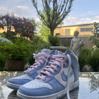 Nike dunks hoch