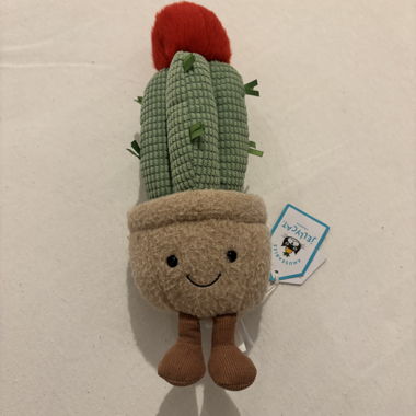 Peluche cactus Jellycat