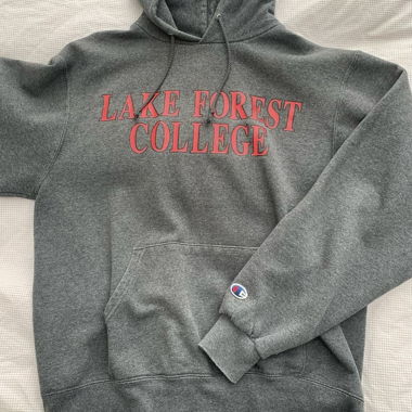 Champion Pulli