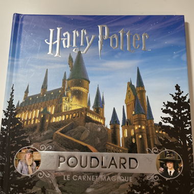 Harry Potter – Hogwarts, il taccuino magico