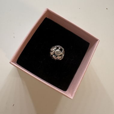Charm Pandora