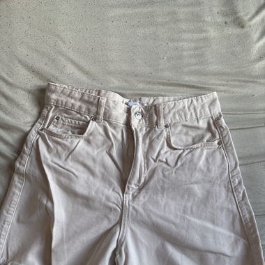 Short rose ZARA