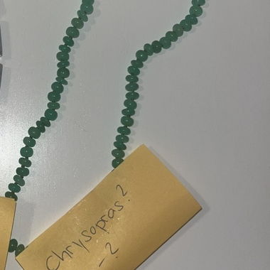 Collana in crisoprasio