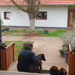 Nat22