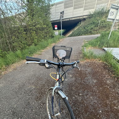 Damen Fahrrad 