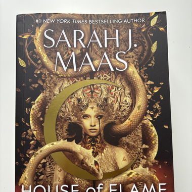 Buch House of Flame and Shadow (EN)