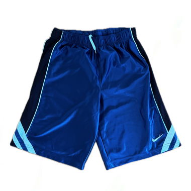 Nike Sport Shorts