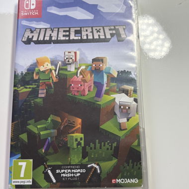 Minecraft Nintendo Switch