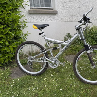Downhill Velo Fahrrad TXED Vigorous Sports