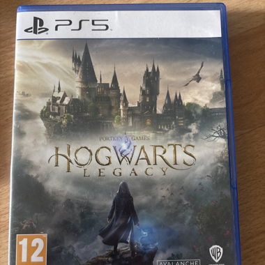Hogwarts Legacy sur PS5