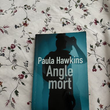 Buch Blindwinkel
