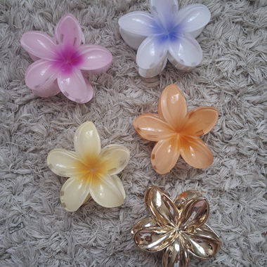 Set Haarspangen Blumen