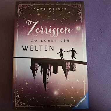 Fantasybuch Zerrissen zwischen den Welten