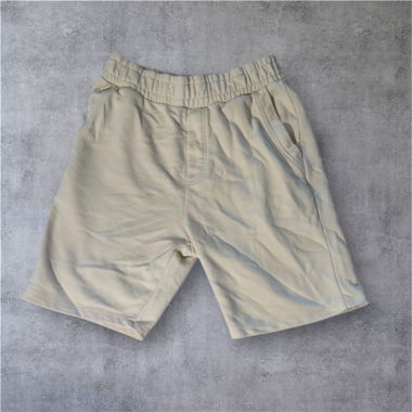 ZARA SHORTS L
