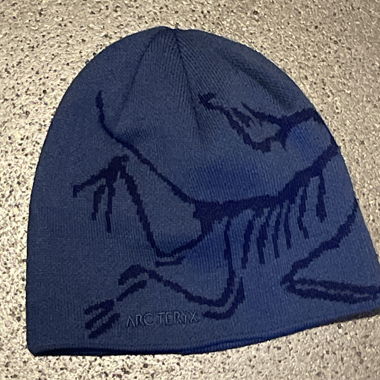 Arcteryx beanie cap
