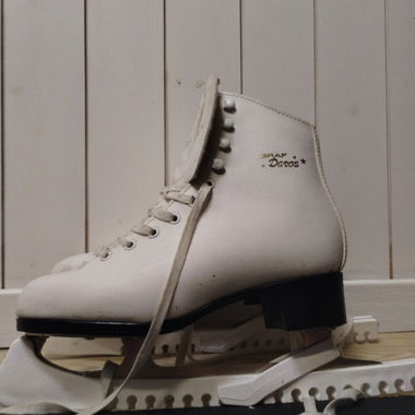 Schlittschuhe 