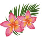 Wildflower4