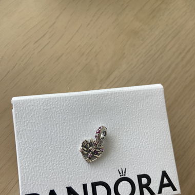 Charm Pandora 