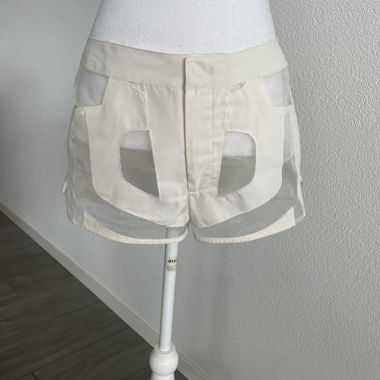 Nasty Gal Organza Short