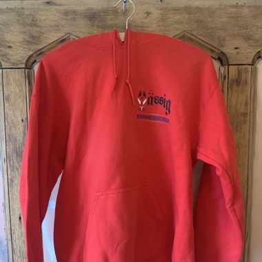 stayhässig pulli 2018