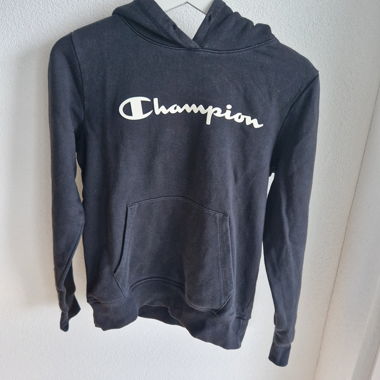 Champion Hoodie 