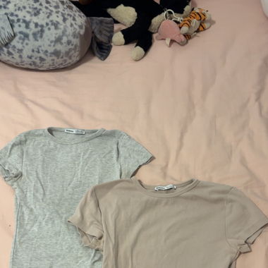 2basic tops 