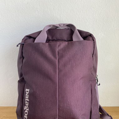 Patagonia Atom Pack Rucksack 20L