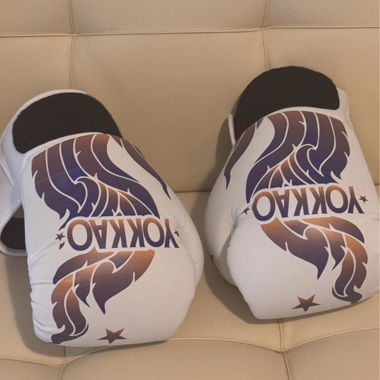 YOKKAO Boxhandschuhe 14 oz