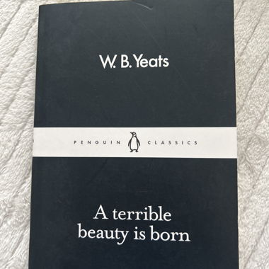 A terrible beauty is born — W. B. Yeats book