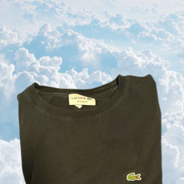 Lacoste Shirt