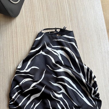 Small Zebra Print Top Zara