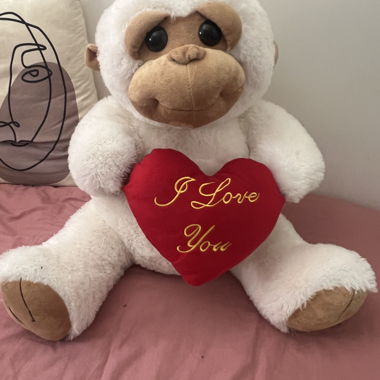 Nounours enorme 