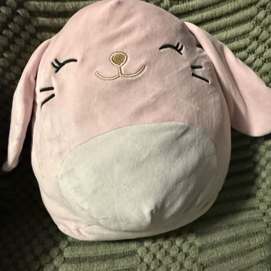 Pink Plush Rabbits Squishmallow