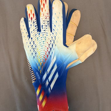 Guanti da portiere Adidas Predator
