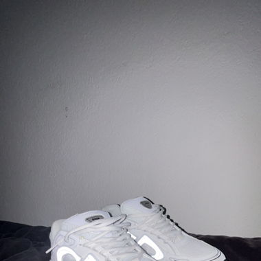 Dior b30