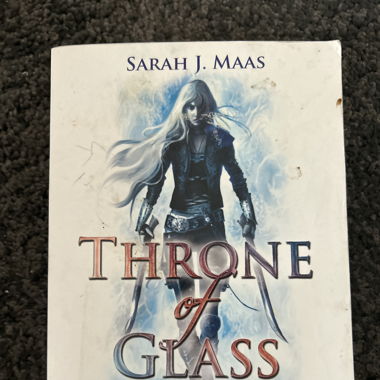 Throne of Glass Die Erwählte