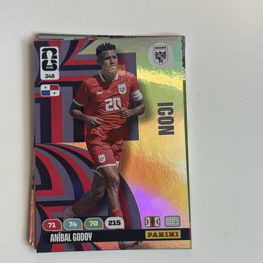 Panini FIFA Sammelkarte Anibal Godoy