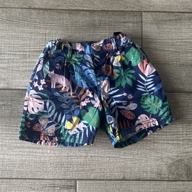 short multicolore 