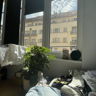 loulise