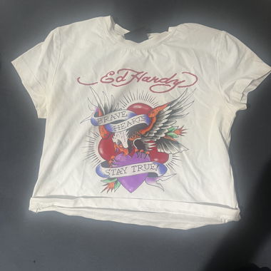 Crop top Ed Hardy