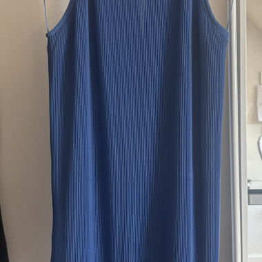 Blue pleated sleeveless dress