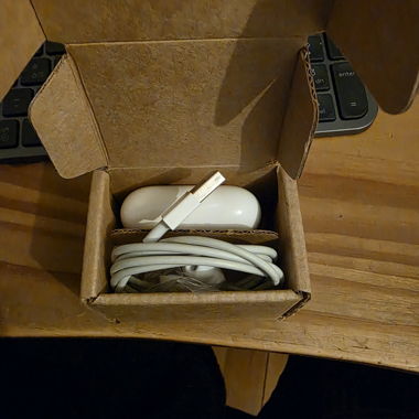 Airpods pro with Wireless Case