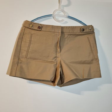 Zara Shorts