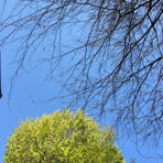 nd