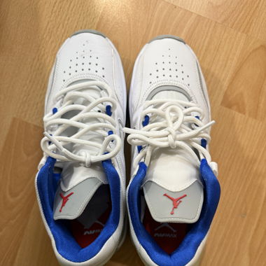 NIKE AIR JORDAN POINT LANE RETRO TRUE BLUE
