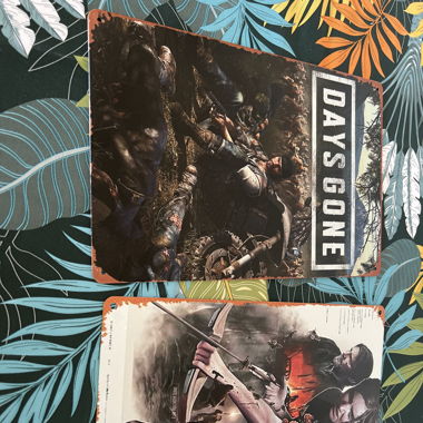 2 plaques métalliques pour déco 